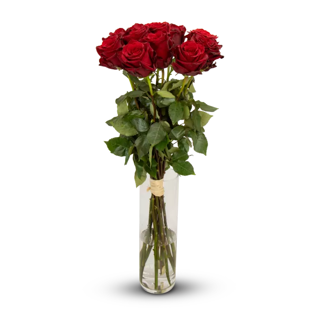 Kytice ekvádorských růží 80 cm